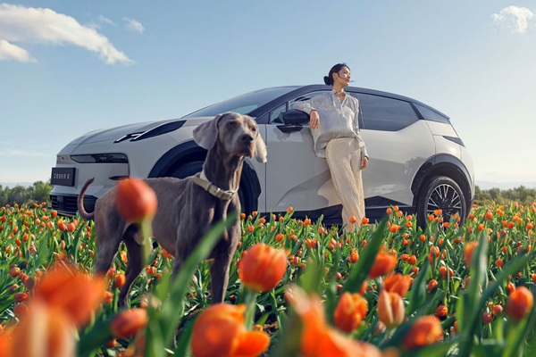 Електромобіль ZEEKR X 2wd 4 seats 66 kWt: ідеальний кросовер для комфортних подорожей