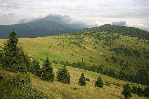 Ужанський національний природний парк, Великий Березний